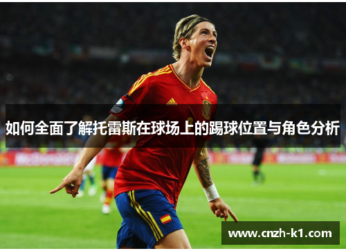 如何全面了解托雷斯在球场上的踢球位置与角色分析