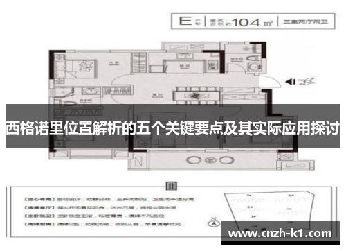 西格诺里位置解析的五个关键要点及其实际应用探讨