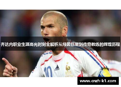 齐达内职业生涯高光时刻全解析从绿茵巨星到传奇教练的辉煌历程