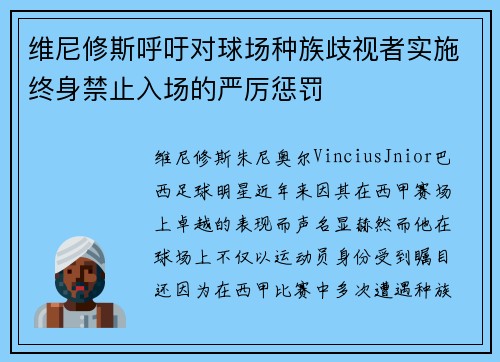 维尼修斯呼吁对球场种族歧视者实施终身禁止入场的严厉惩罚